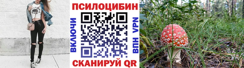 где купить наркоту  kraken вход  Псилоцибиновые грибы Magic Shrooms  Бутурлиновка 
