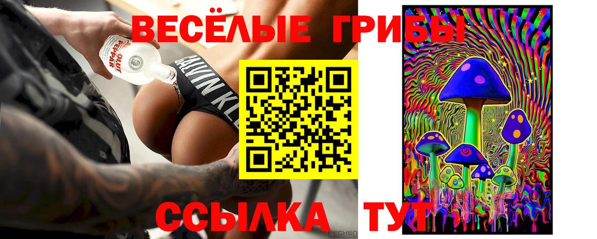 Бутурлиновка  Псилоцибиновые грибы мухоморы  Вход с VPN 