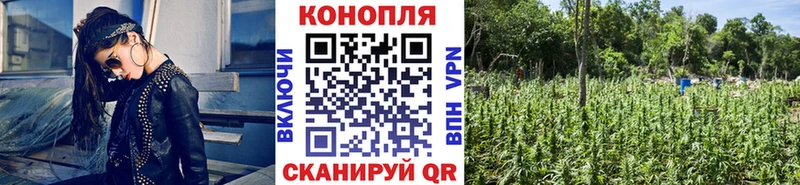 где найти   Бутурлиновка  Бошки Шишки VHQ 